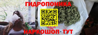 PSILOCYBIN Славгород